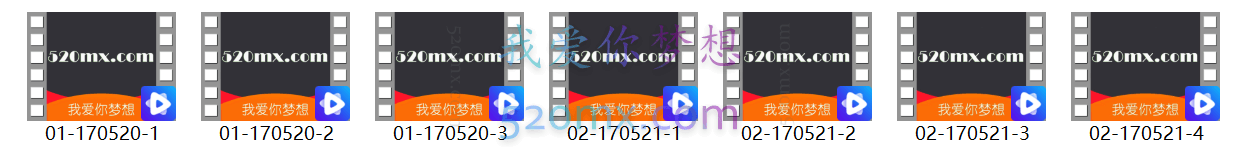 张海音：六大专题理论与个案督导地面课程现场录音+课件