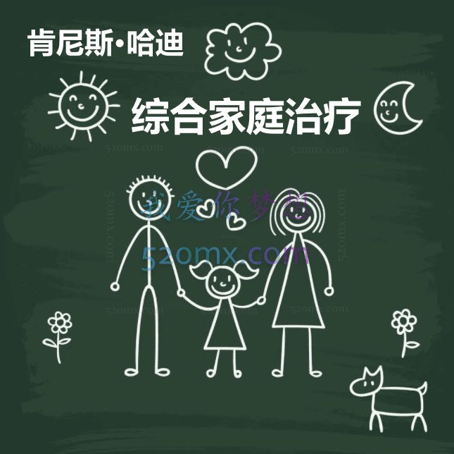 肯尼斯·哈迪:综合家庭治疗4集视频(中文翻译)