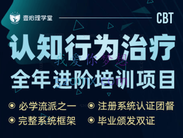 景鹏：焦点解决短期治疗两天课程录音
