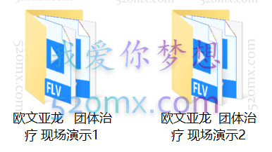 欧文·亚隆:团体治疗现场演示视频(中英文字幕)