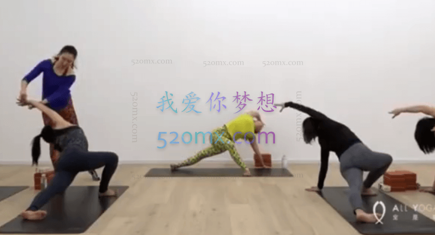 董娟-流瑜伽精进系列课2-3级