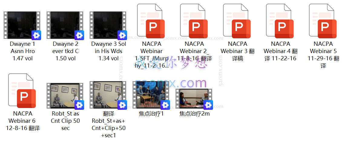 John Murphy博士：焦点治疗网络课程视频录像 #2
