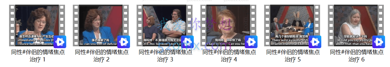 苏珊·强森博士（Dr. Sue Johnson）同性#伴侣的情绪焦点治疗