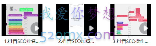 森淼·抖音视频SEO排名课程（官网售价1680元）