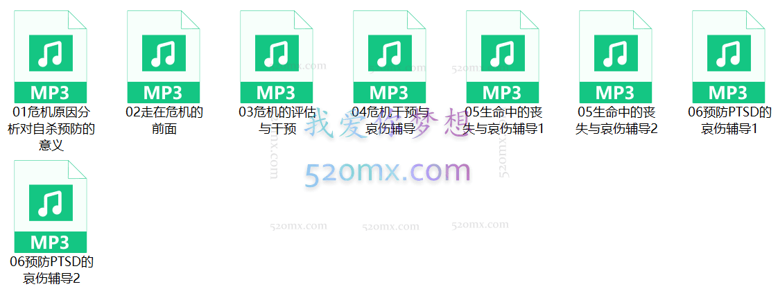 张海燕：微课6讲《心理危机干预与哀伤辅导》录音