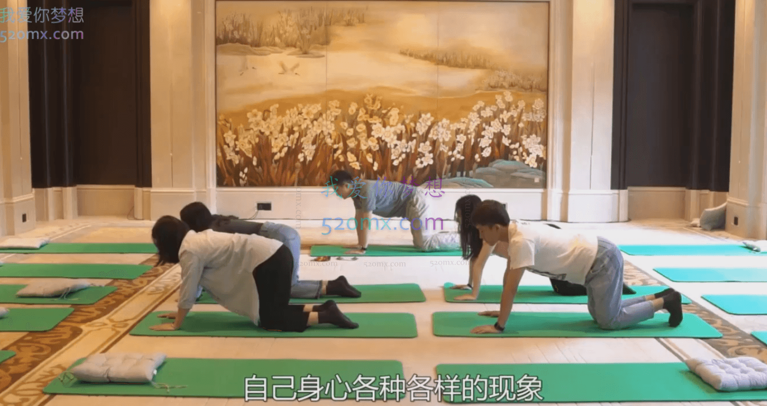 贾坤:21天正念训练营 告别焦躁、失眠、压力的自我训练法
