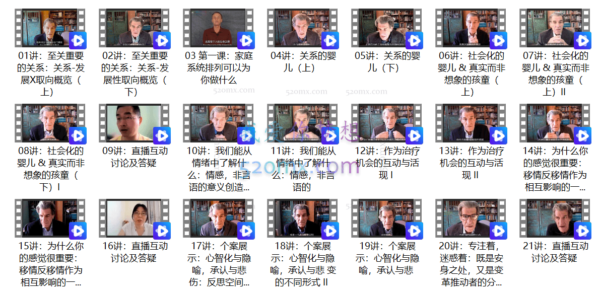 南希、奥格登、瓦林三位大师推荐【塞利格曼】关系—发展模型，包括临床治疗和婴儿期的关系与情绪 关系精分课 【视频+文字稿】