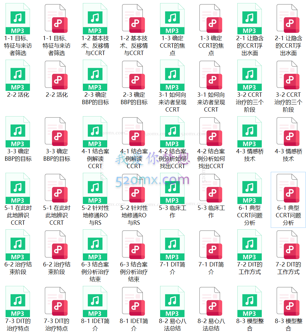 《短程动力取向心理治疗实践指南》读书会