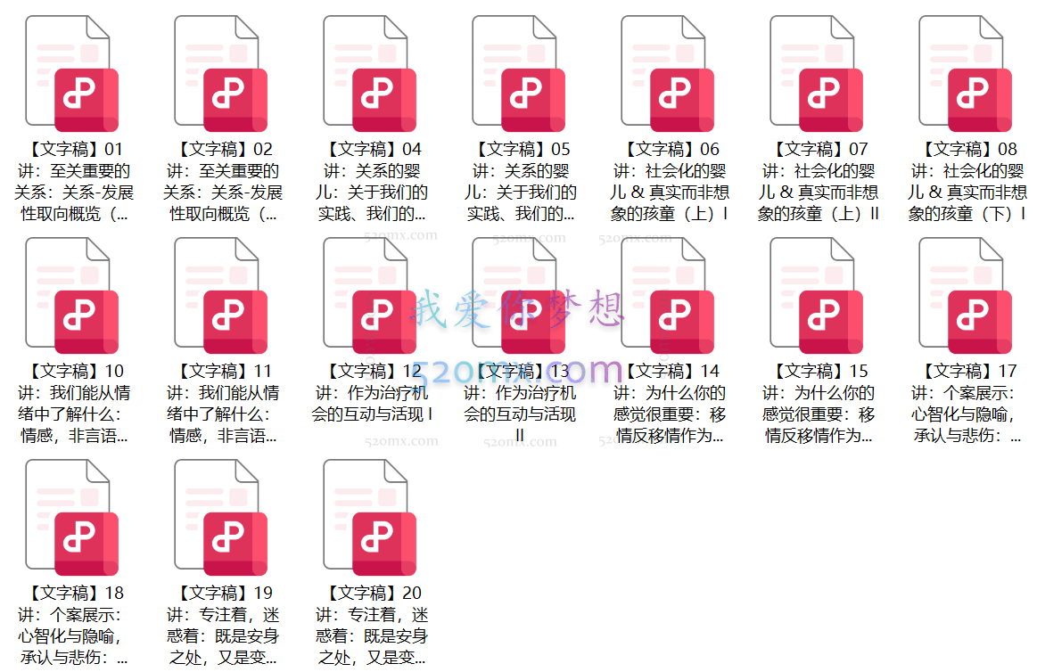 南希、奥格登、瓦林三位大师推荐【塞利格曼】关系—发展模型，包括临床治疗和婴儿期的关系与情绪 关系精分课 【视频+文字稿】